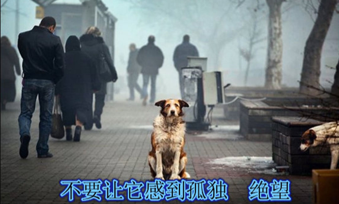 克孜勒苏克孜勒苏爱影圈微博微信转发案例